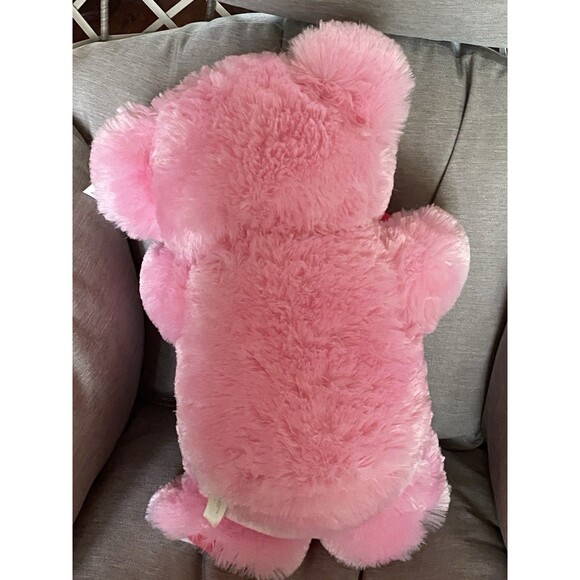 Sweetheart Teddy Bear 2022 Pink Valentines Day Plush Stuffed Animal 18” Princess - Picture 4 of 9